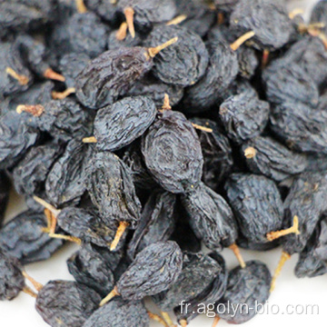 Raisins noirs sans grain sèches sèches d&#39;OEM
